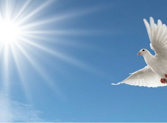 Onoranze Funebri Roma Onoranze Funebri Roma