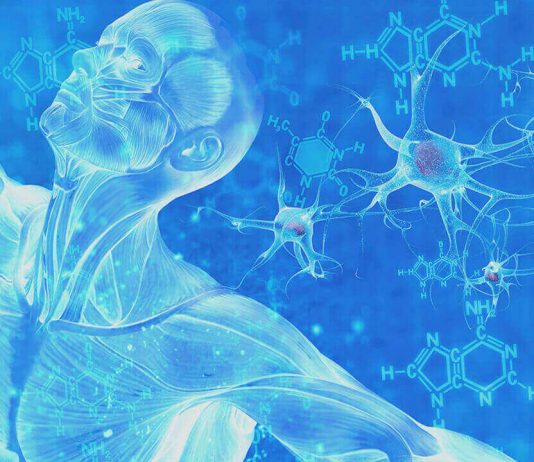 Ozonoterapia Ernia del disco Roma Ozonoterapia Ernia del disco Roma