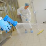 Servizio completo Disinfestazione
