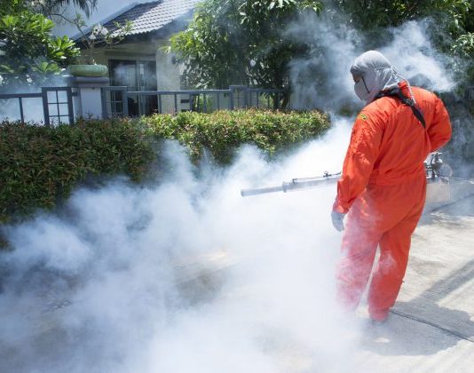 Disinfestazioni e derattizzazione Roma Disinfestazioni e derattizzazione Roma