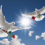 Onoranze Funebri e Funerali
