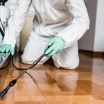 Ditta derattizzazione Roma