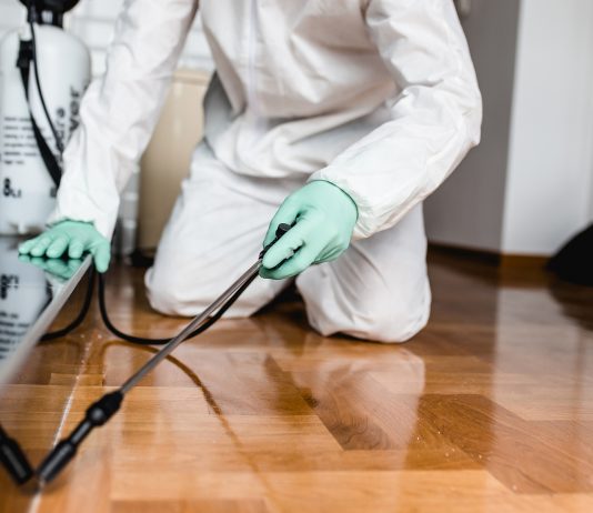 Ditta derattizzazione Roma Ditta derattizzazione Roma