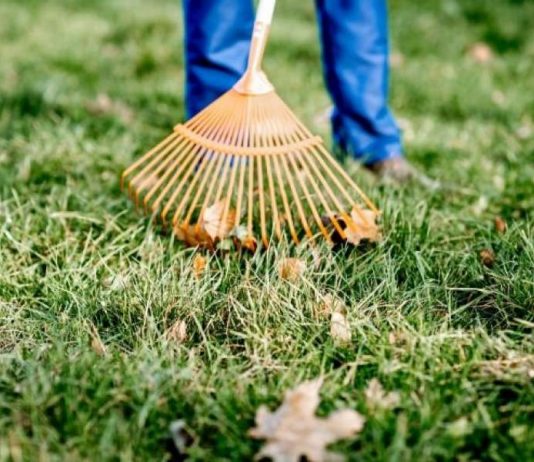 Manutenzione giardini condomini Roma Manutenzione giardini condomini Roma