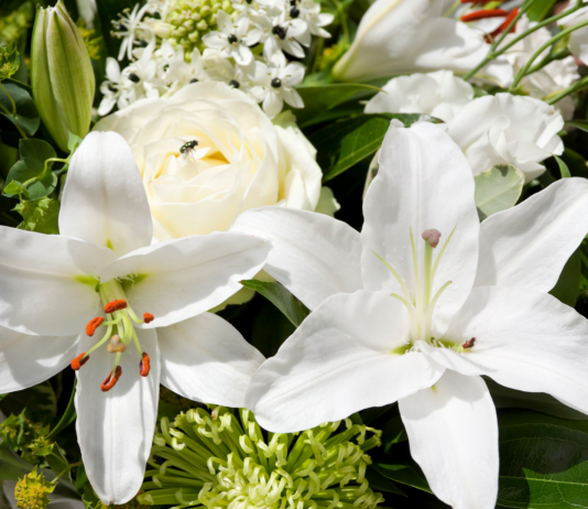 Casse Da Morto Roma Casse Da Morto Roma